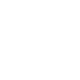 icon png