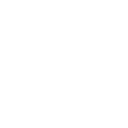 icon png